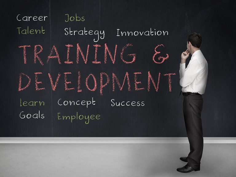Professional development within the Organisation